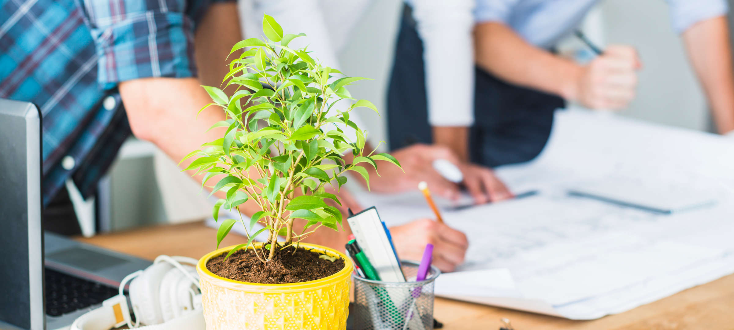 Ein Meeting im Büro einer modernen Agentur für Design in Frankfurt am Main. Im lichtdurchfluteten Office sitzen Designer und Programmierer hinter Tischen an Computern. Sie entwerfen Gestaltung für Online- und Printmedien, programmieren Webdesigns.